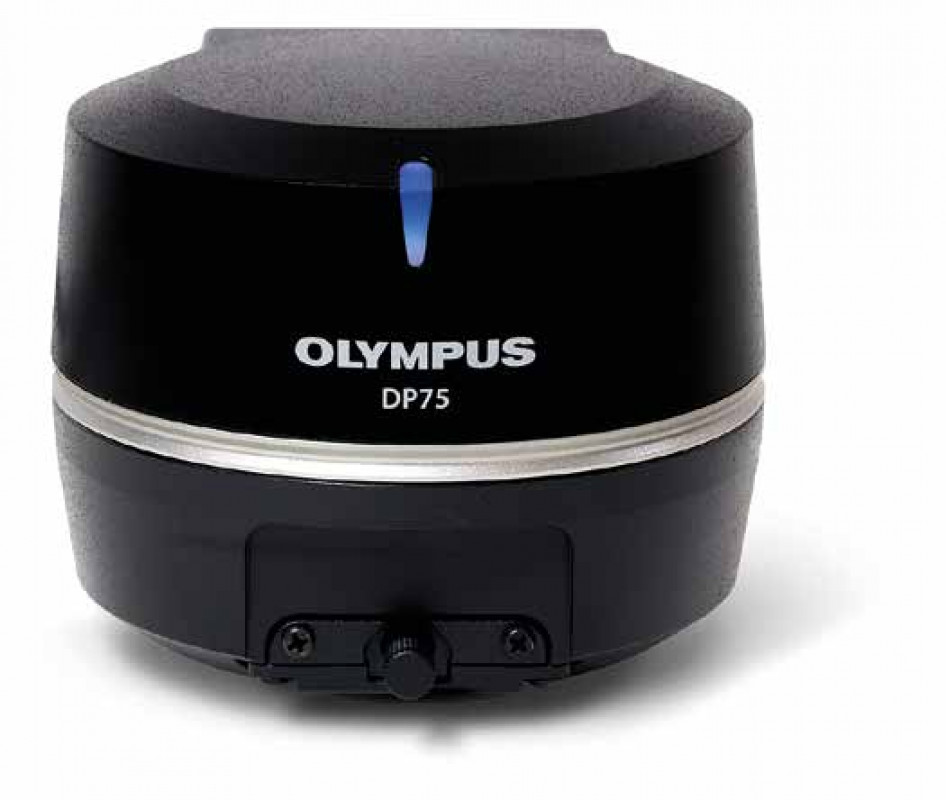 The DP75 is compatible with USB 3.1 Gen2 and can be used with most PCs. - © EVIDENT The DP75 is compatible with USB 3.1 Gen2 and can be used with most PCs. - © EVIDENT